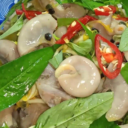 Dòi trường bóp rau răm